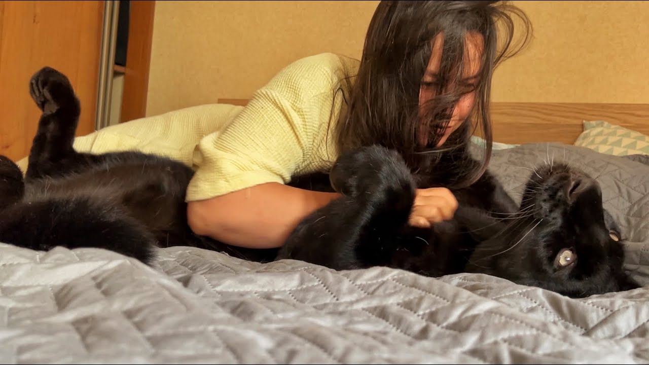 Нежная пантера Луна😸❤️