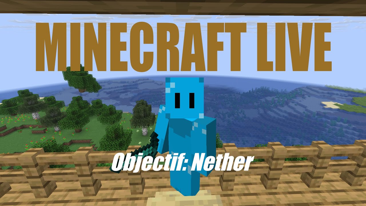 MINECRAFT - Objectif: Nether