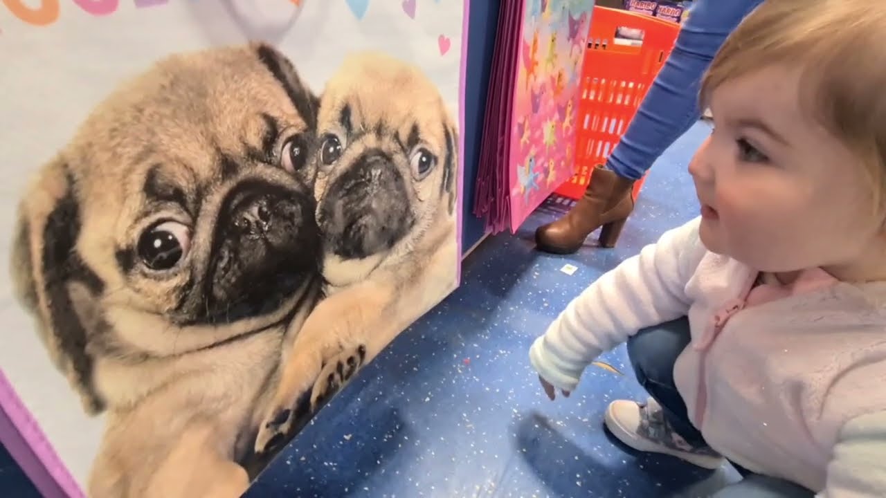 Shopping With A Toddler