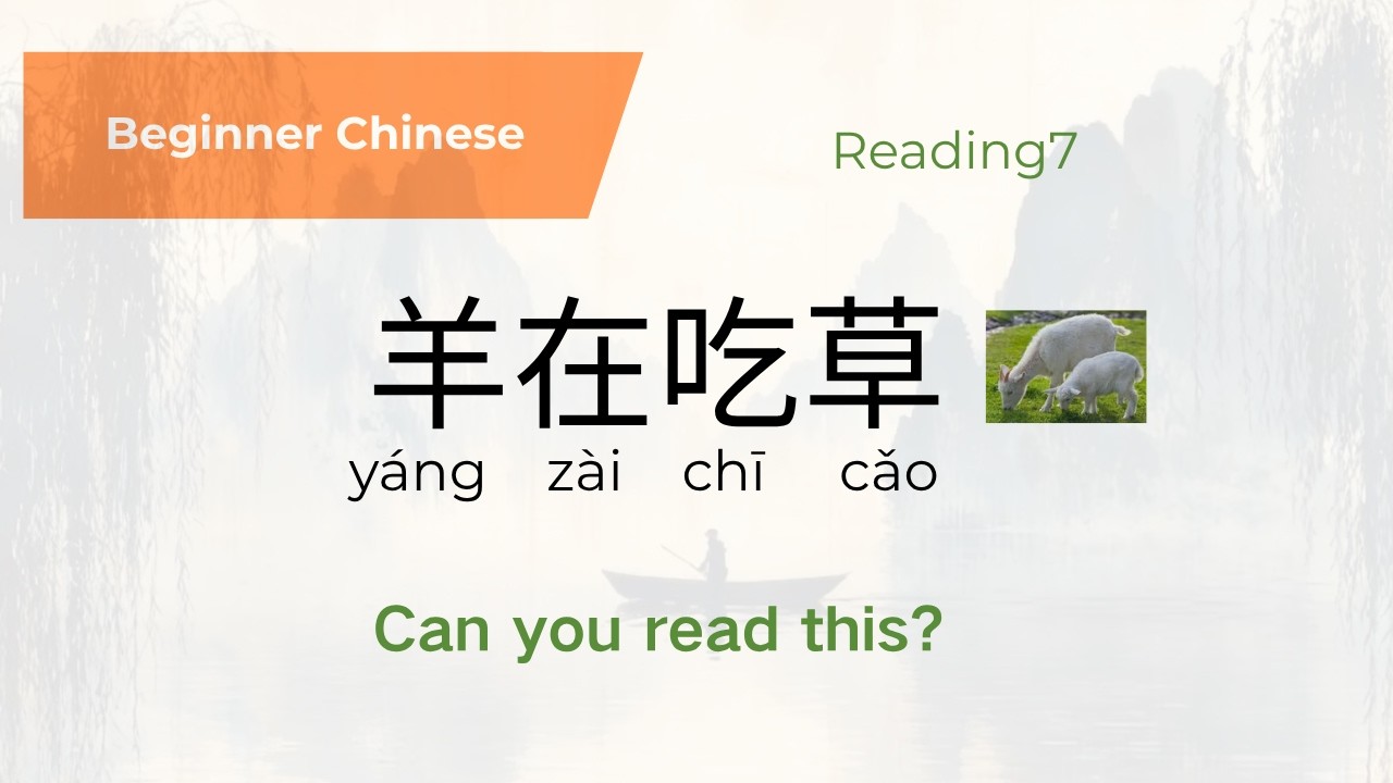 Beginner Chinese Reading Practice – Reading 7| Using Day 1–9 Characters