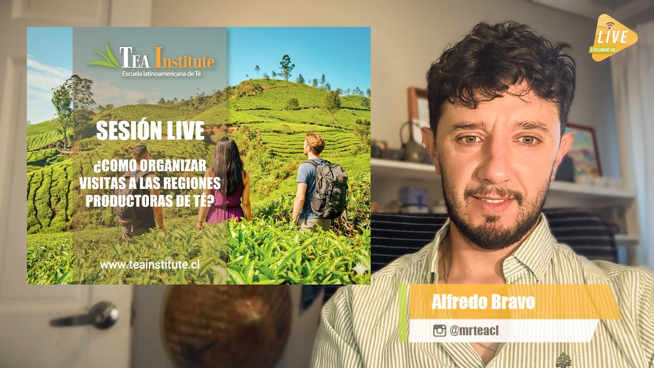 Sesión Live - ¿Cómo Visitar las Regiones Productoras de Té?