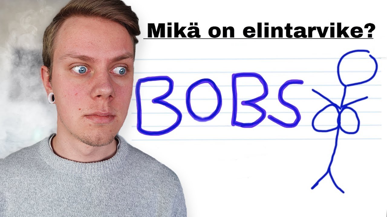 Maailman VIISAIMMAT Koevastaukset...