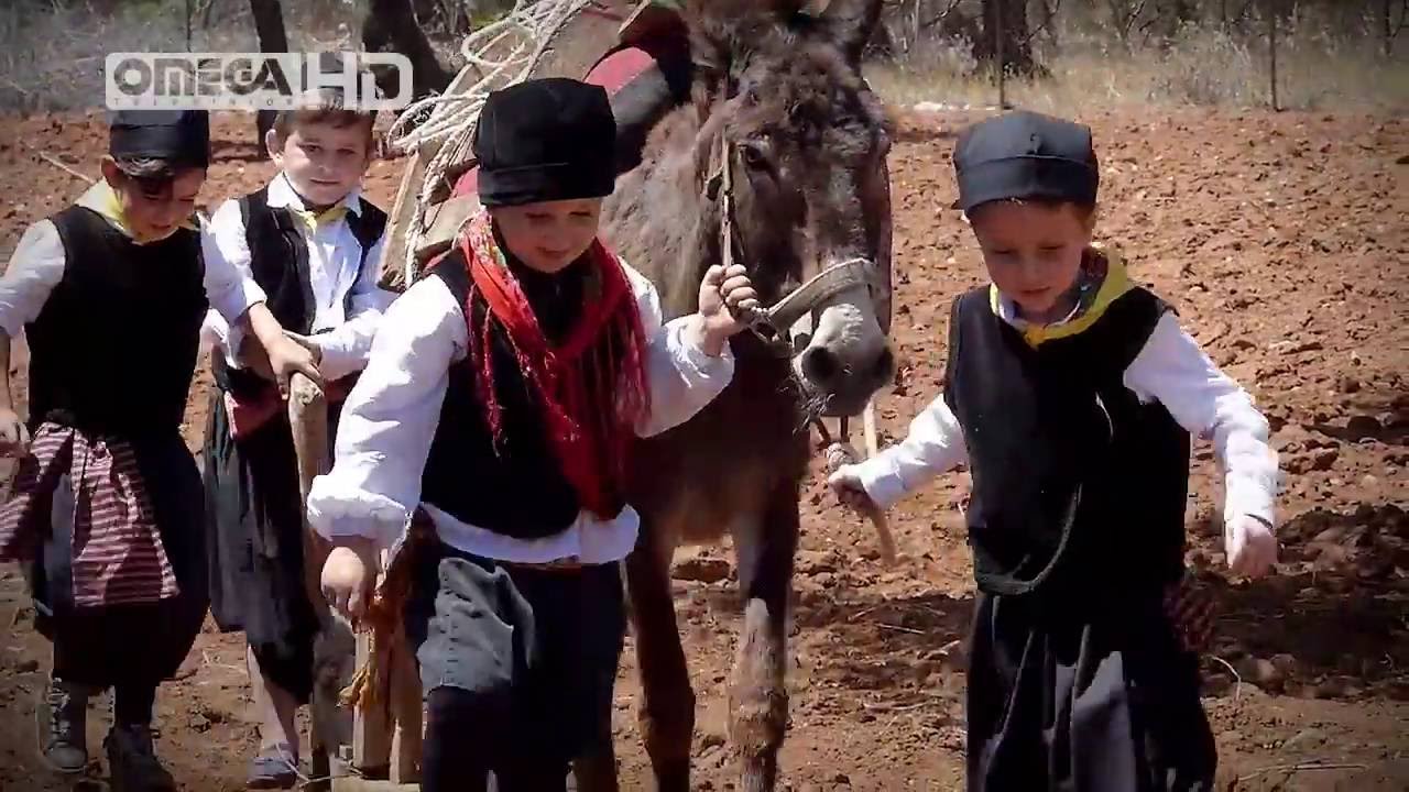 Από το σιτάρι στο ψωμί