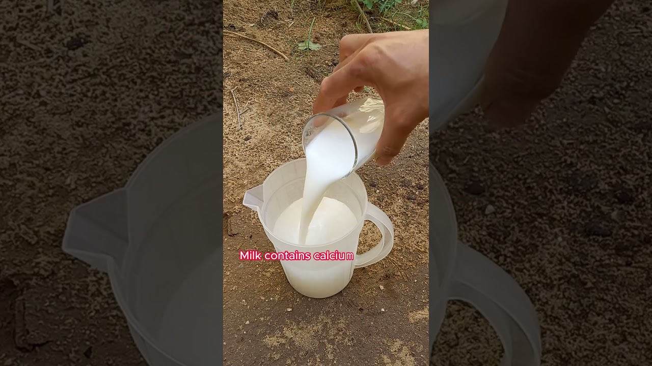 magic fertilizer for any plant  100% success! #shorts