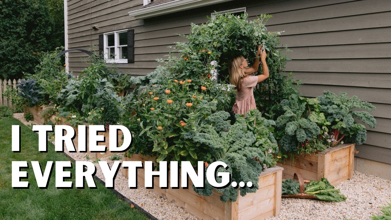 The ONLY Way to Grow Tomatoes