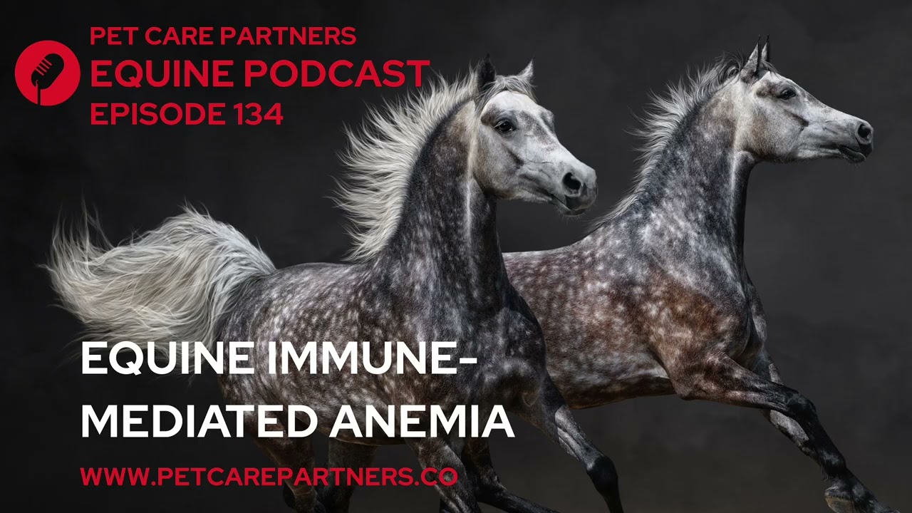 EP. 134: Immune-Mediated Anemia in Horses | Causes, Signs & Treatment | Pet Care Partners