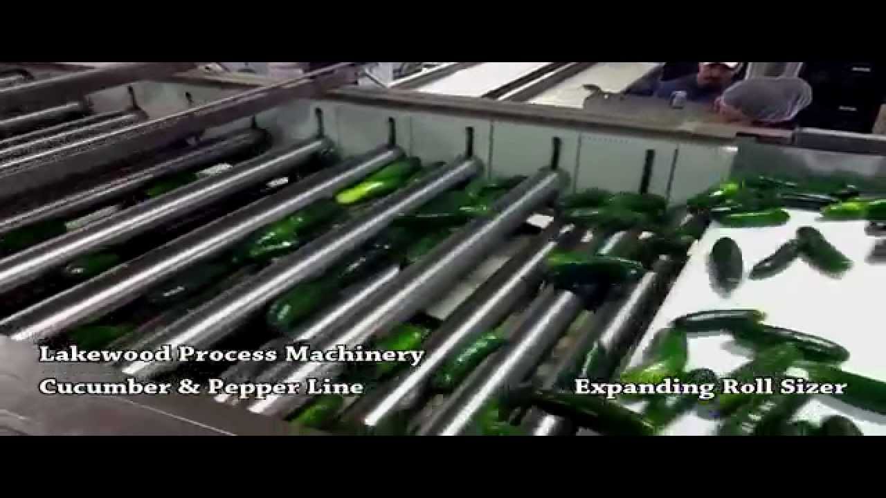 Cucumber & Pepper Packing Line