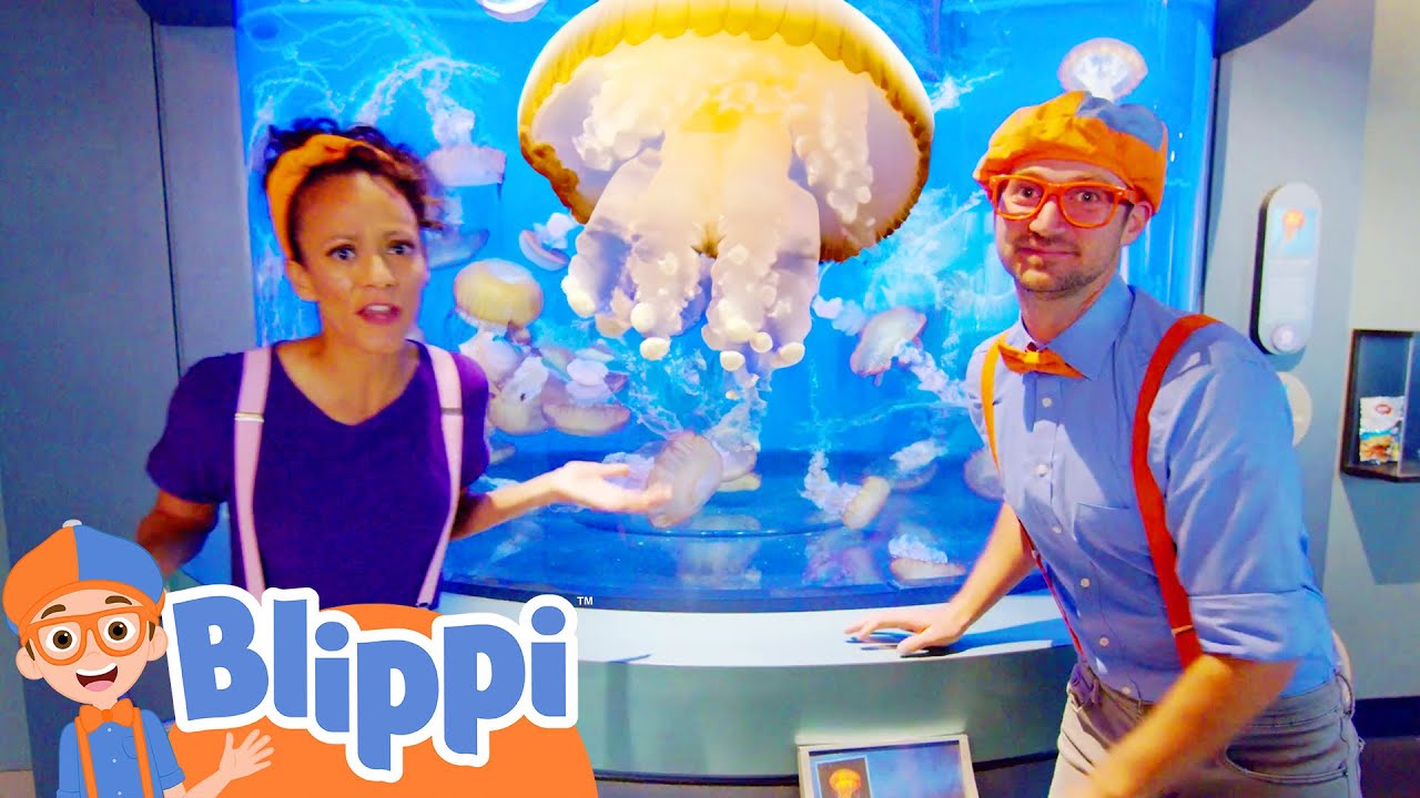 Giant Jellyfish Aquarium | Blippi | Shows for Kids - Explore With Me!