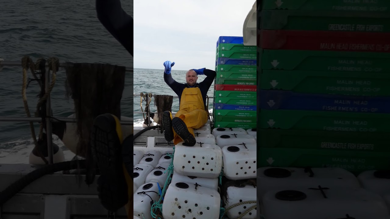 Fishing whelks Atlantic Ocean