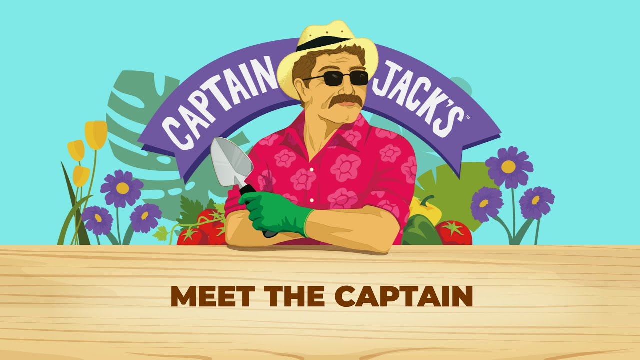 Meet Captain Jack!