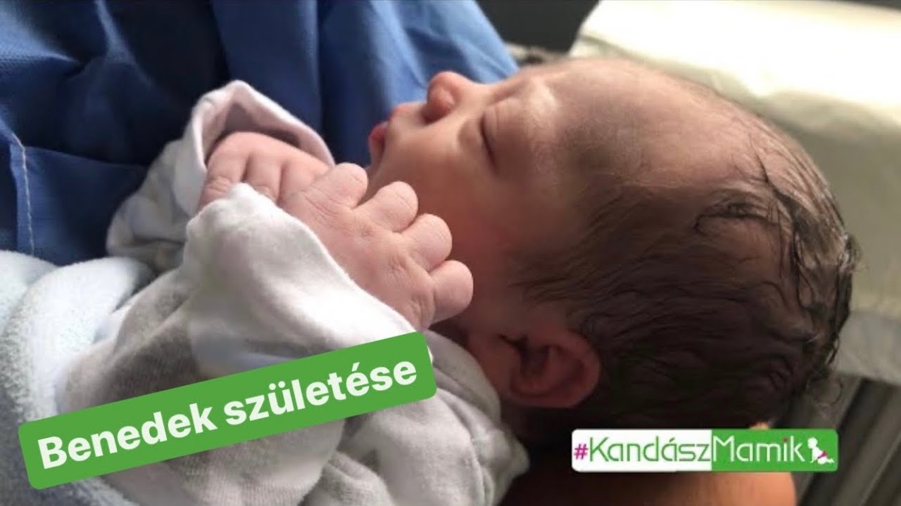 5 Éve Történt: Benedek születése #TeszVeszAnyu