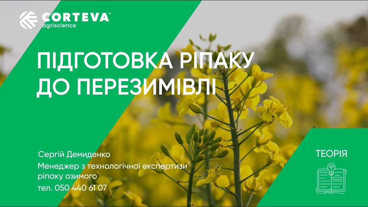Агропоради від Corteva. Серія 17. Теорія. Підготовка ріпаку озимого до перезимівлі.