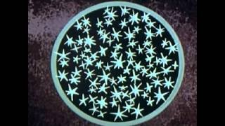 Top 10 Explosive Facts About Nuclear Weapons &mdash; TopTenzNet