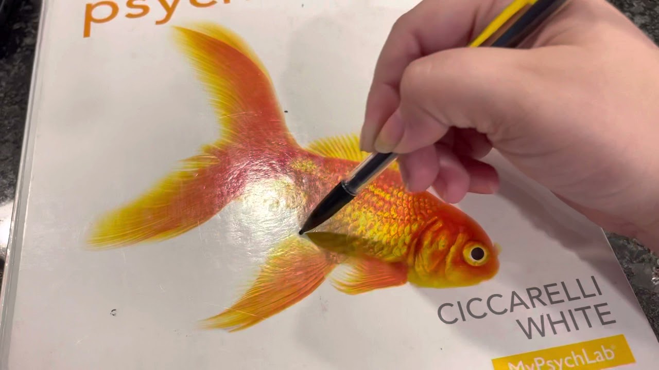 ASMR - School Supplies 📚