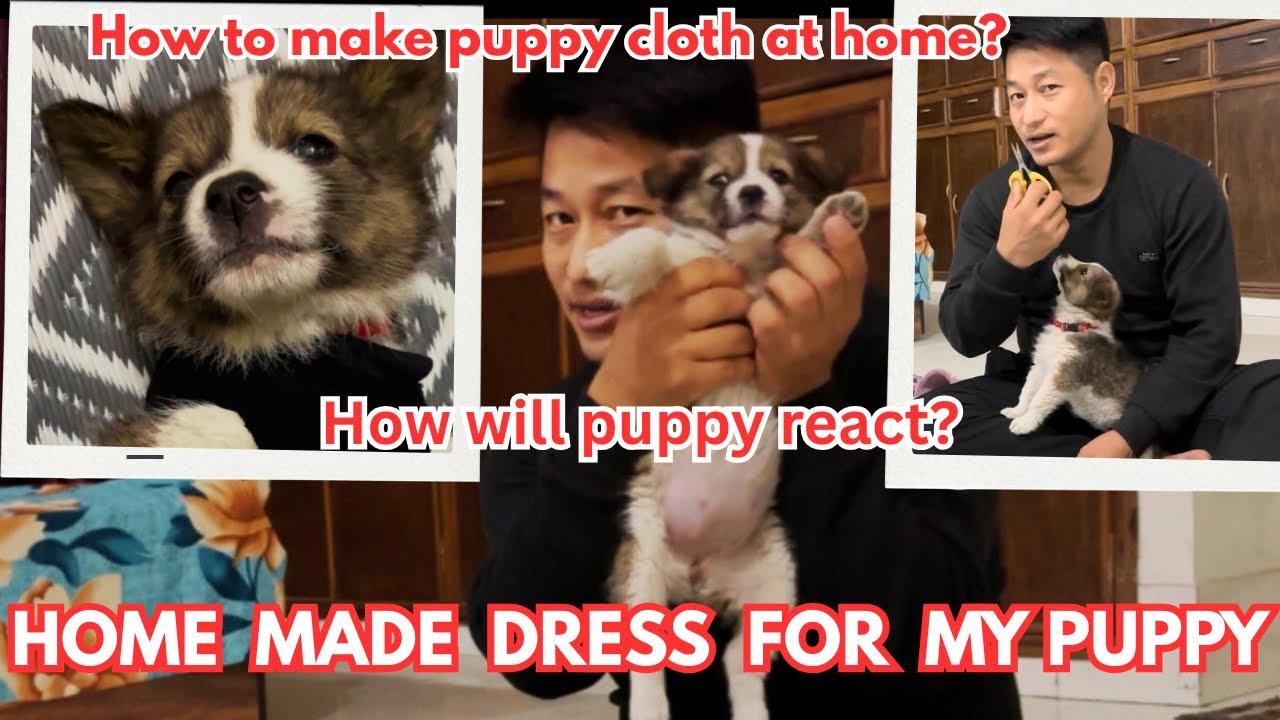How to make puppy Cloth at Home || Home made Puppy Cloth😍 #bestpuppycloth #dogclothathome 