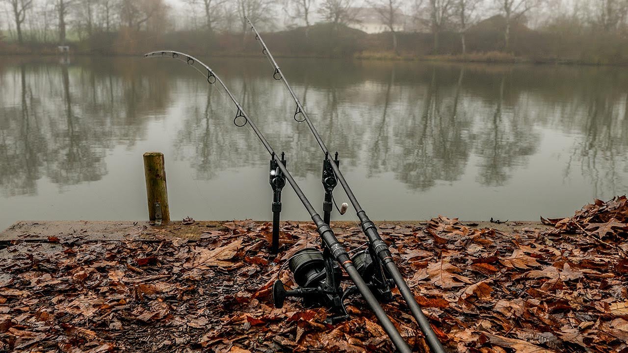 Karpfenangeln im Winter I Tipps für mehr Runs bei kaltem Wasser 🥶