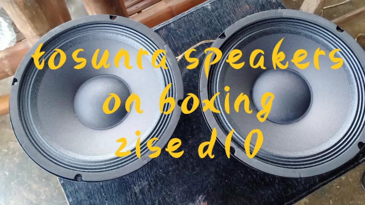 TOSUNRA D10 300.WATTS UNBOXING NATIN GUYZ