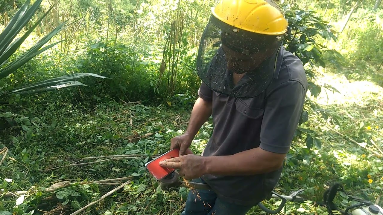 Así se trabaja con guadaña en colombia