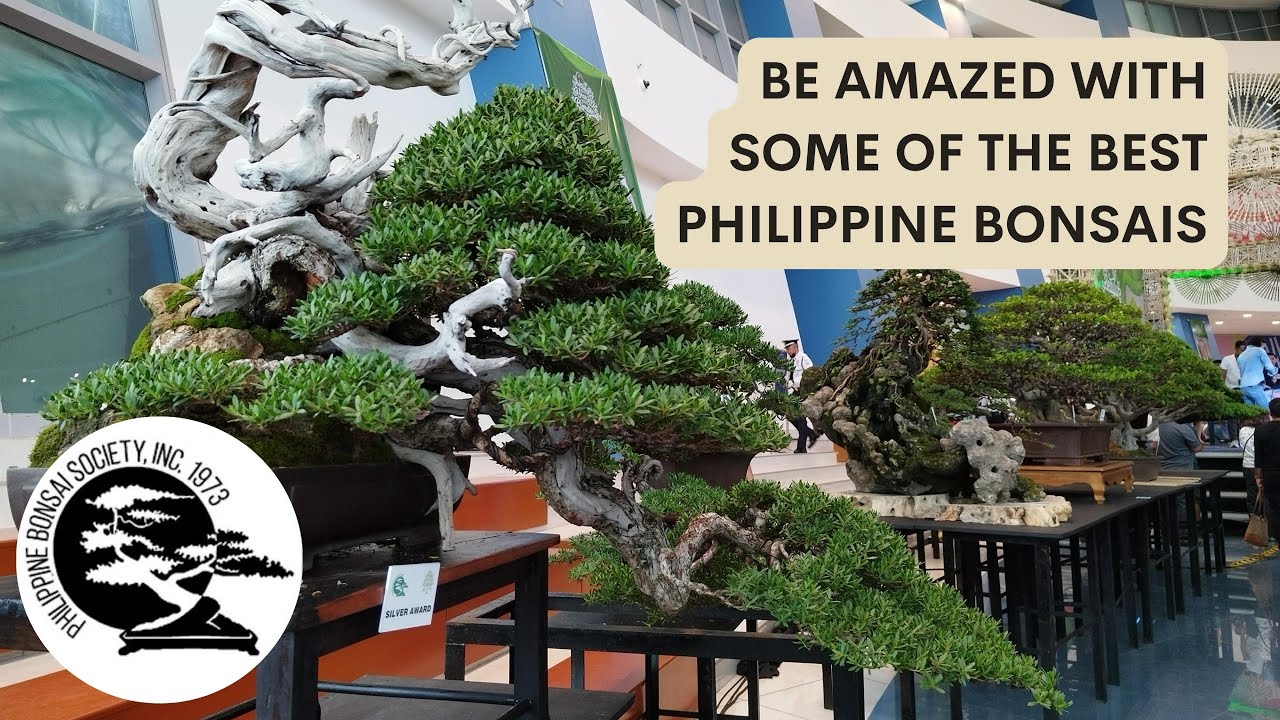 ASPAC + ABFF + PBSI Bonsai and Suiseki Exhibition and Convention Part #1