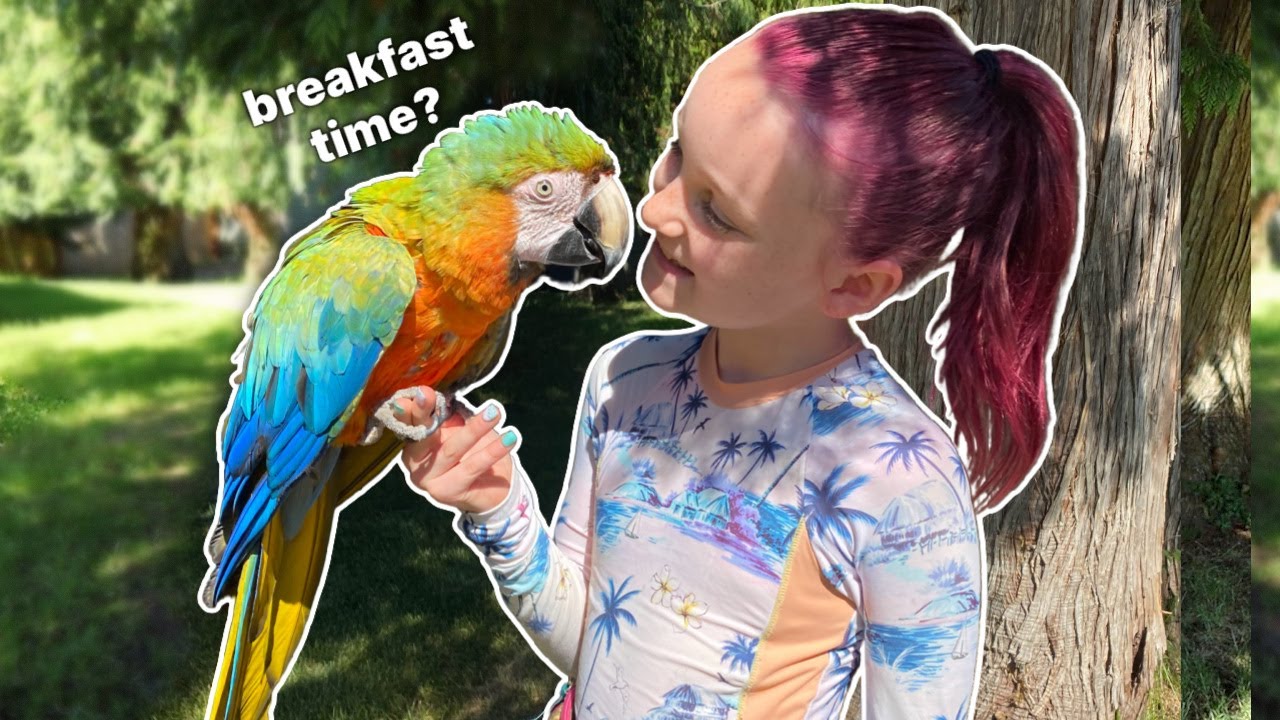 Feeding ALL 8 OF MY BIRDS Breakfast!