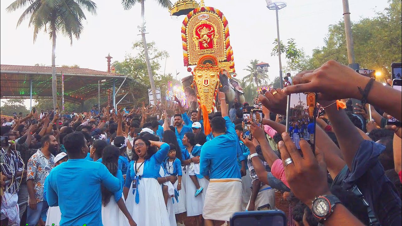 തലയെടുപ്പിൽ ​ഗജരാജപട്ടം നേടിയ തൃക്കടവൂർ ശിവരാജു Thrikkadavoor sivaraju  | Aanayadi pooram 2024 | 4K