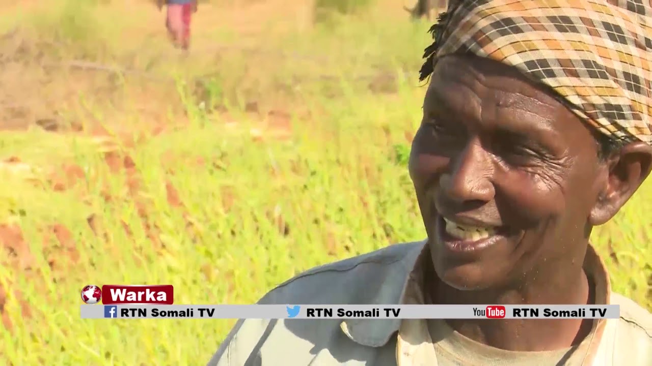 RTN TV: Beeralayda ismaamulka Mandhera oo bilaabay Tabcashada Sisinta markii ugu horaysay.