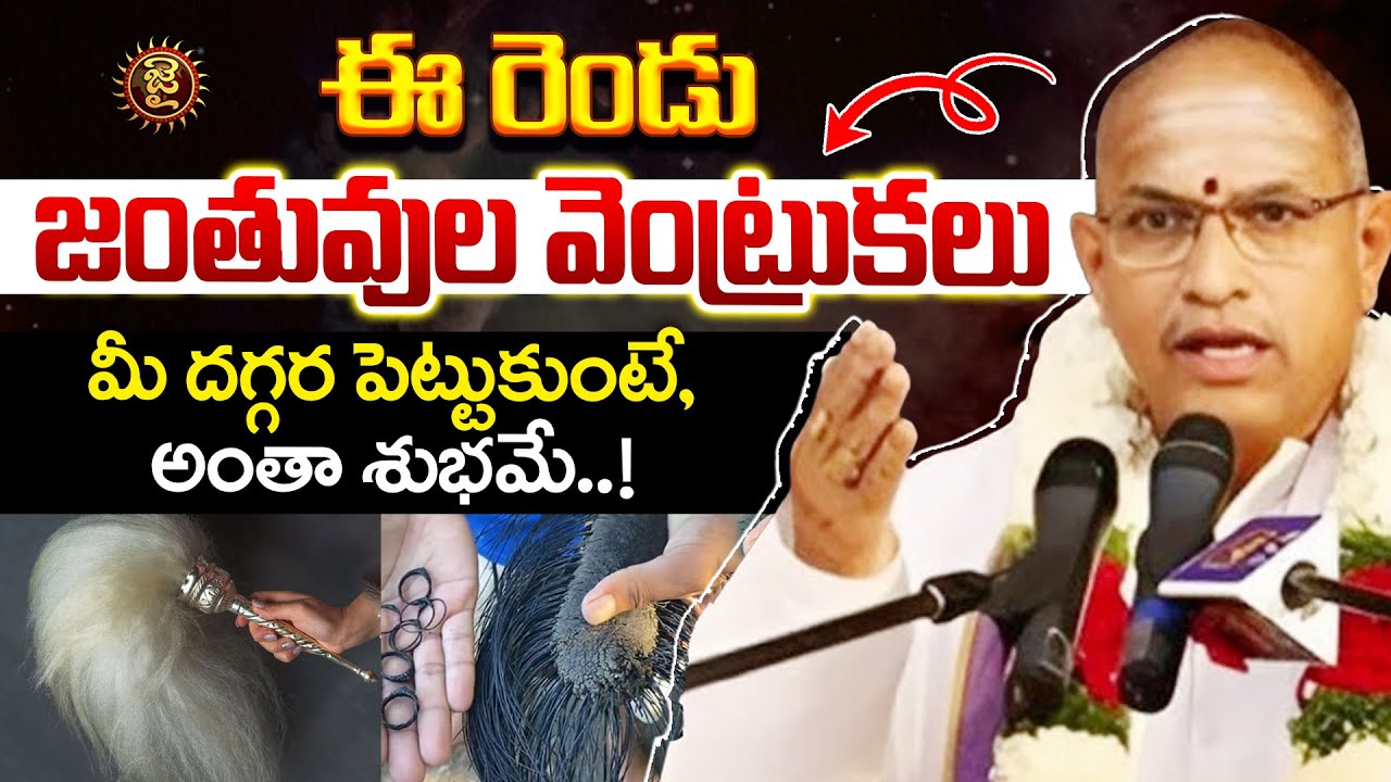 ఈ రెండు జంతువుల వెంట్రుకలు మీ దగ్గర పెట్టుకుంటే, అంతా శుభమే..! || Chaganti Koteshwara Rao || Jai