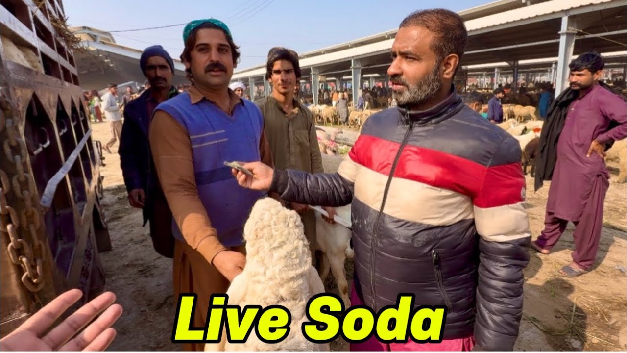Live soda Sindhi Chatre Mundre Chatre | Lahori Shauk | Shapur Kanjra Lahore Mandi 