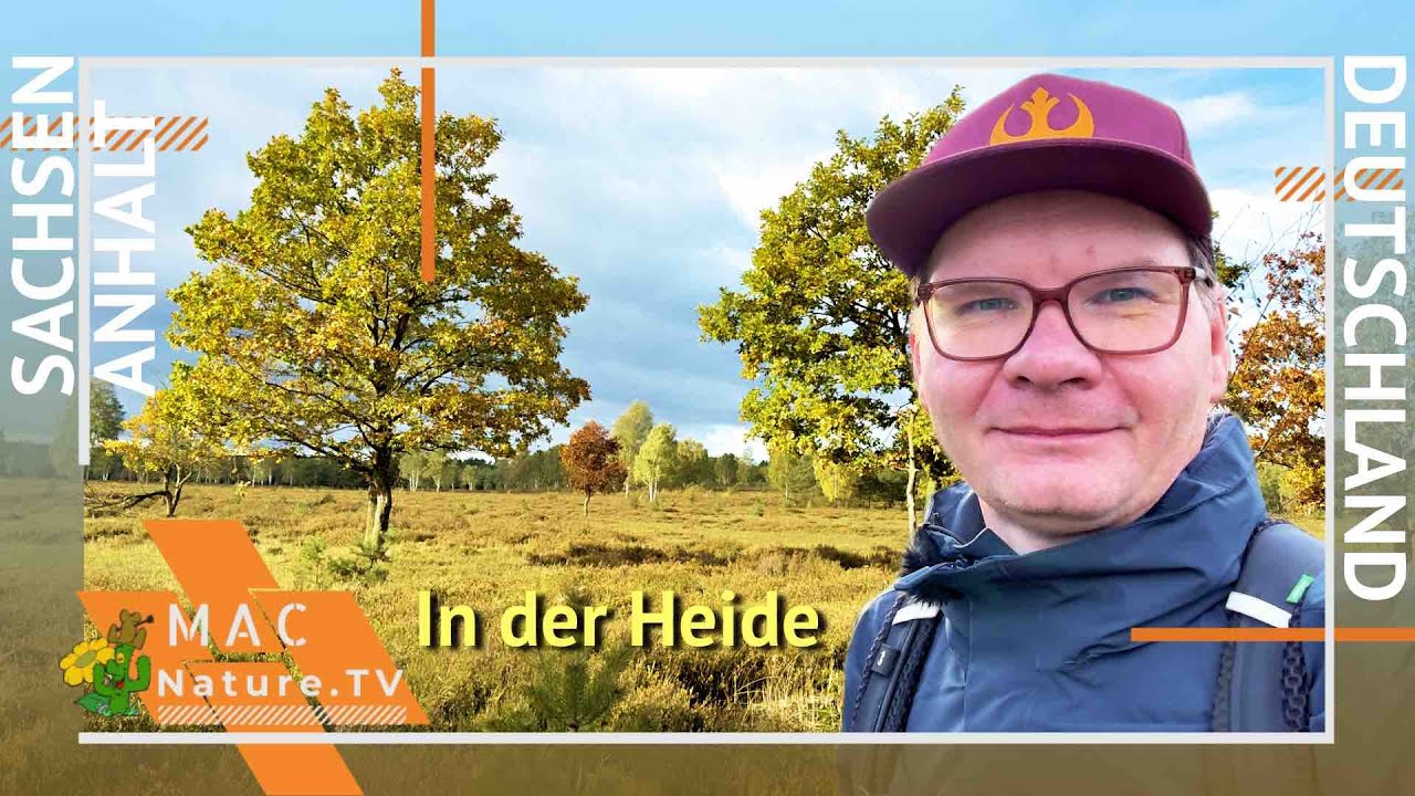 Die Oranienbaumer Heide