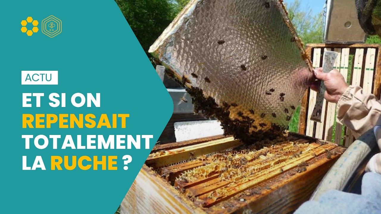 Découvrez la Ruche Basse Consommation avec Damien MERIT : Économie d’énergie🔋 confort des abeilles 🐝