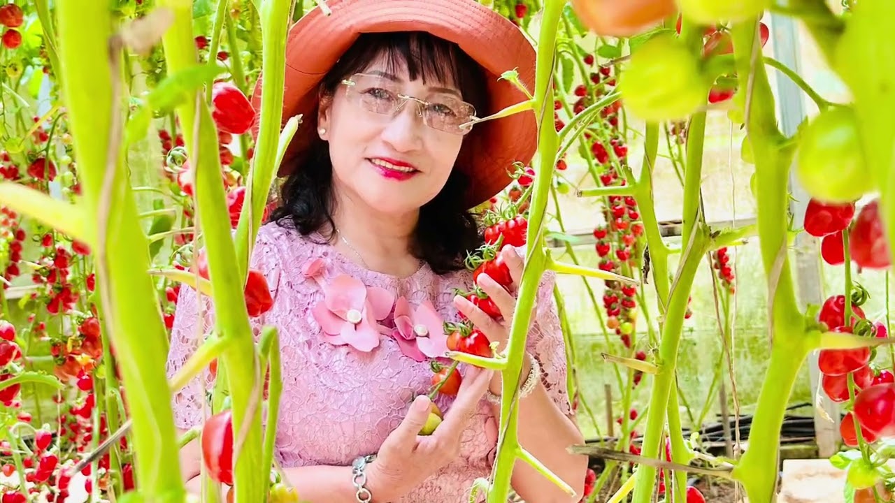 Nắng xuân - Nhạc ngoại lời Việt. Tb: Thanh Loan