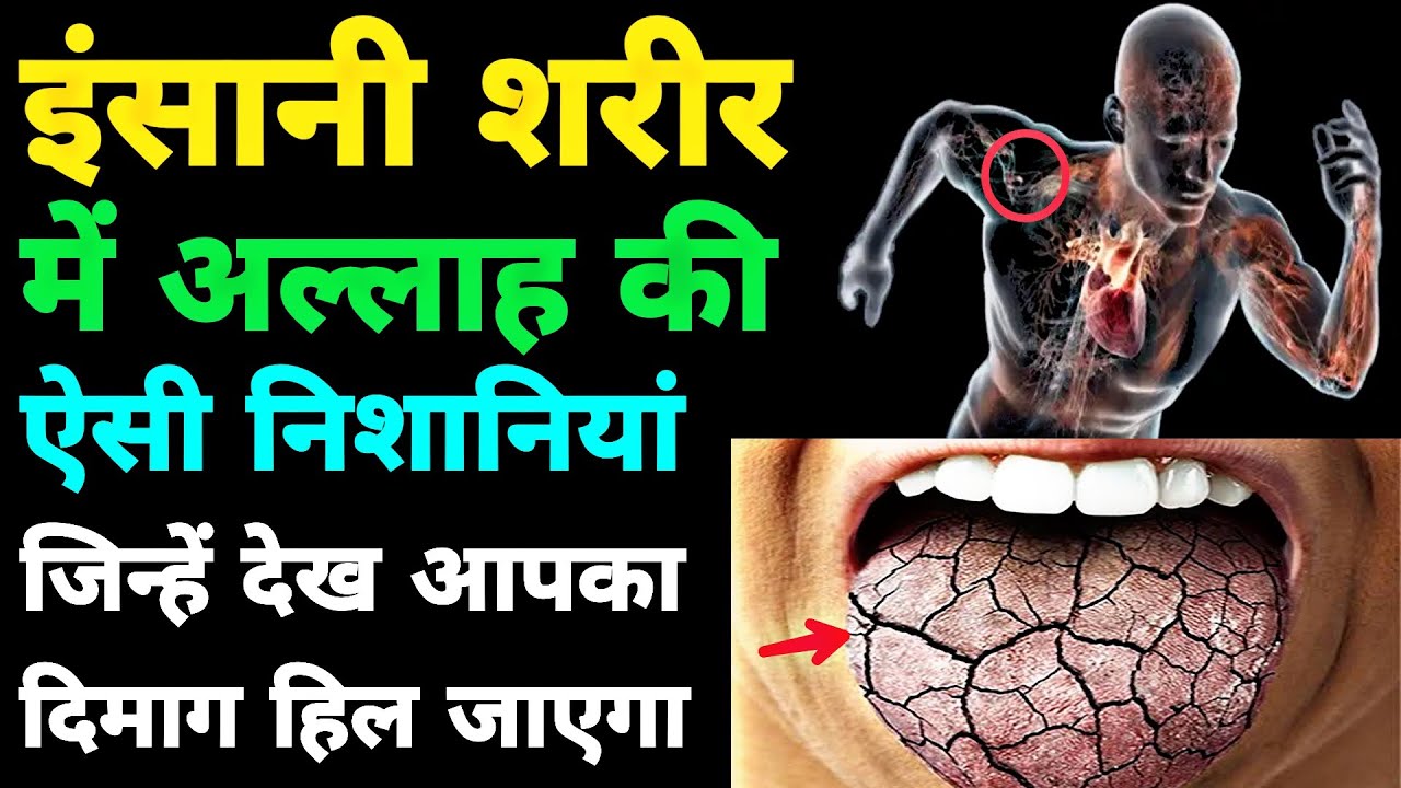 5 proofs of Allah's existence इन सबूतों को जानने के बाद कोई अल्लाह का इनकार नहीं कर पायेगा | Science