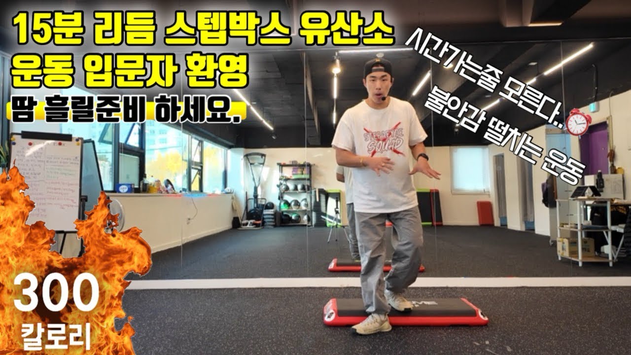🔥15분 리듬 스텝박스 유산소 운동 입문자환영 다이어트 시작하기🔥