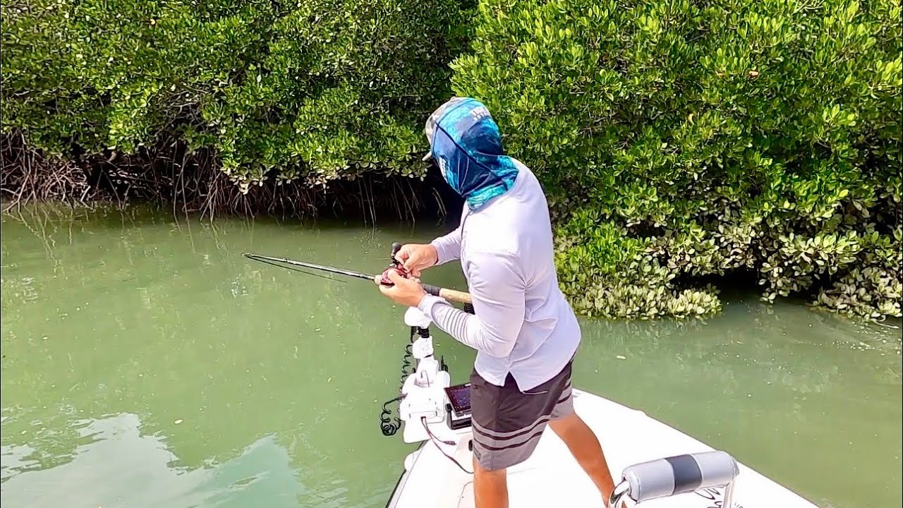 SIGHT CASTING Jacks and Barra in Coastal Creeks