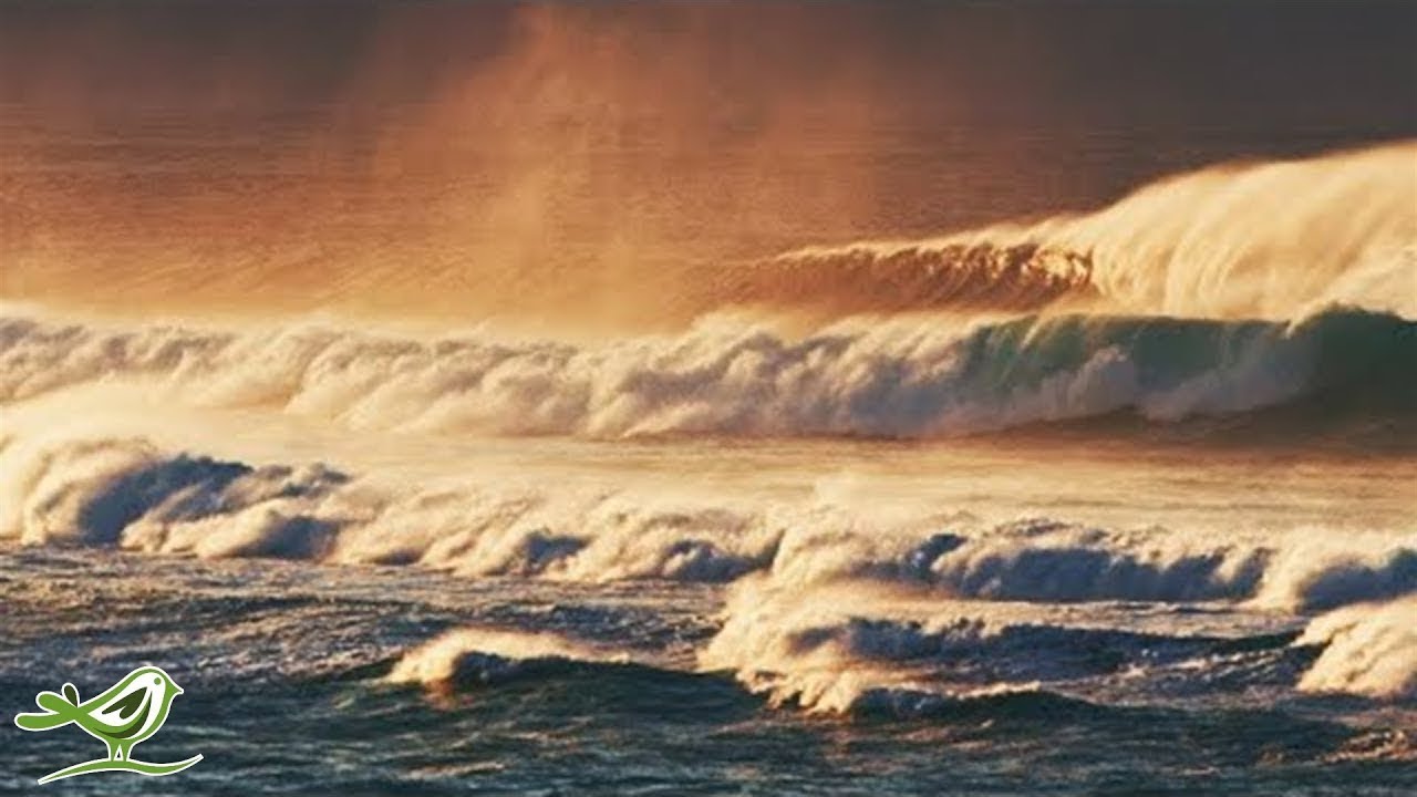 Laat je gedachten de vrije loop met oceaangolven, rustige pianomuziek en prachtige natuur