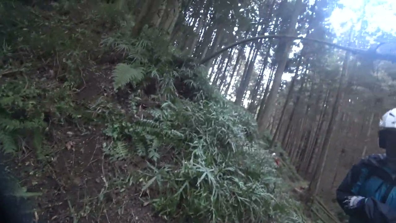 落ちずに済んだ。　　　　291223