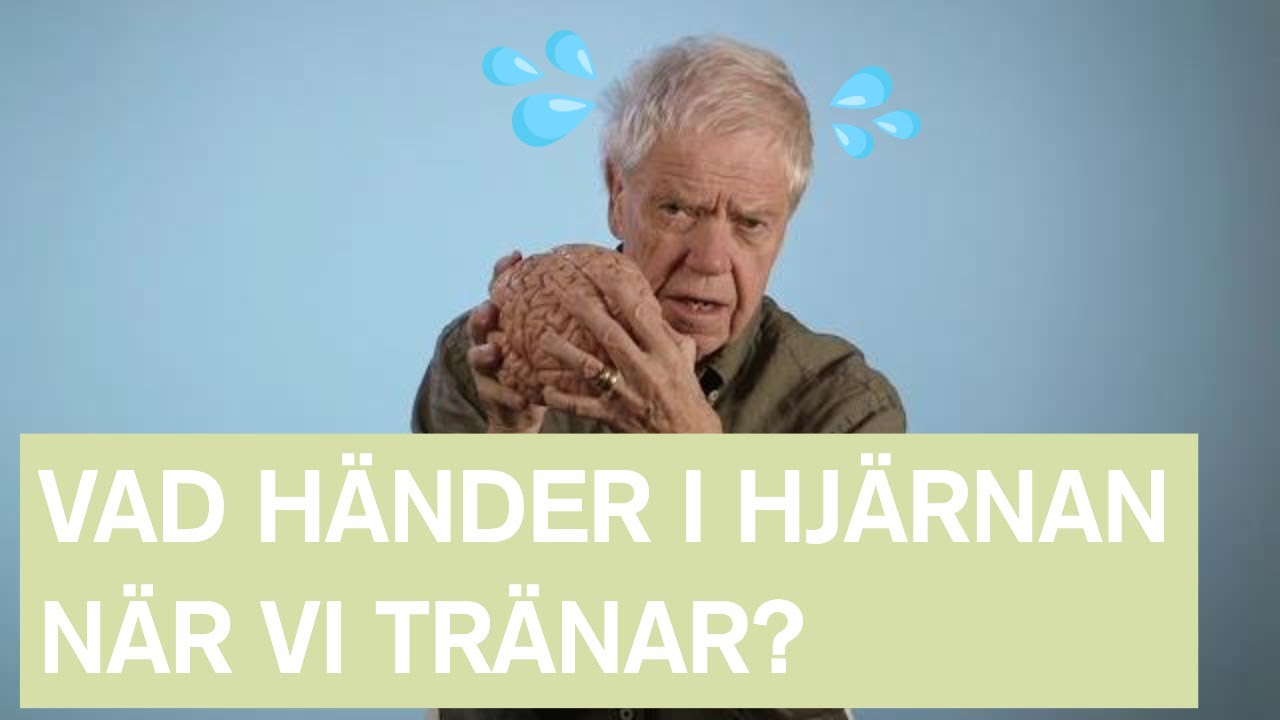 Vad händer med hjärnan när vi tränar? - Hjärnkanalen