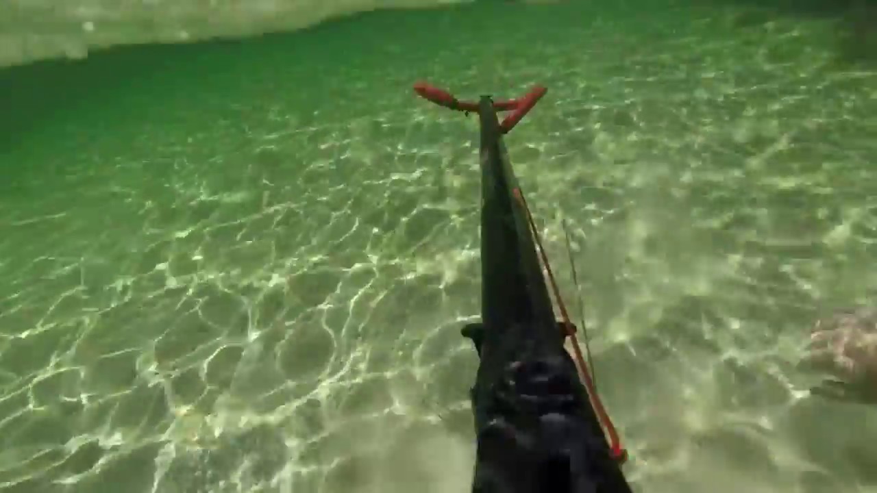 Spearfishing and Snorkelling Dunsborough W.A