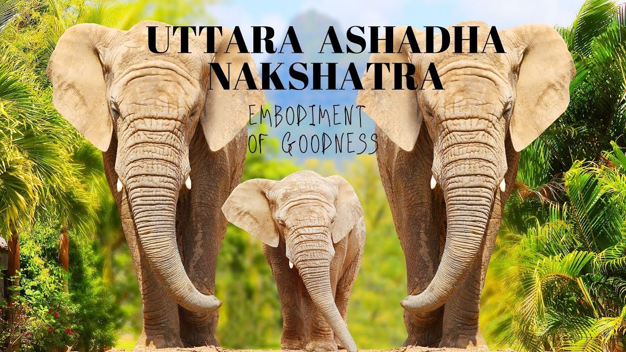 UTTARA - ASHADHA - INTRODUCTION (DEITY, SYMBOL & FUNCTIONING)