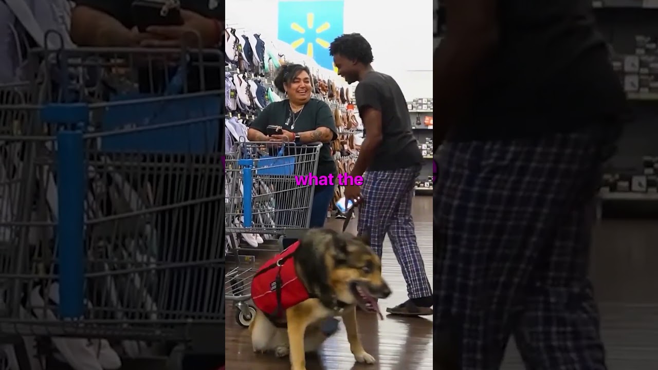 Мой чат контролировал мысли моей собаки в Walmart😂 #kaneljoseph
