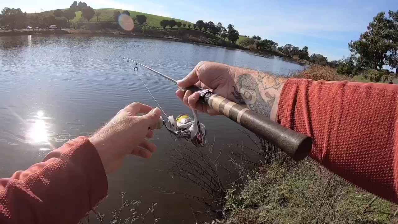 Sandy Wool Lake 30 Minute Trout Session - Northern California Trout Fishing