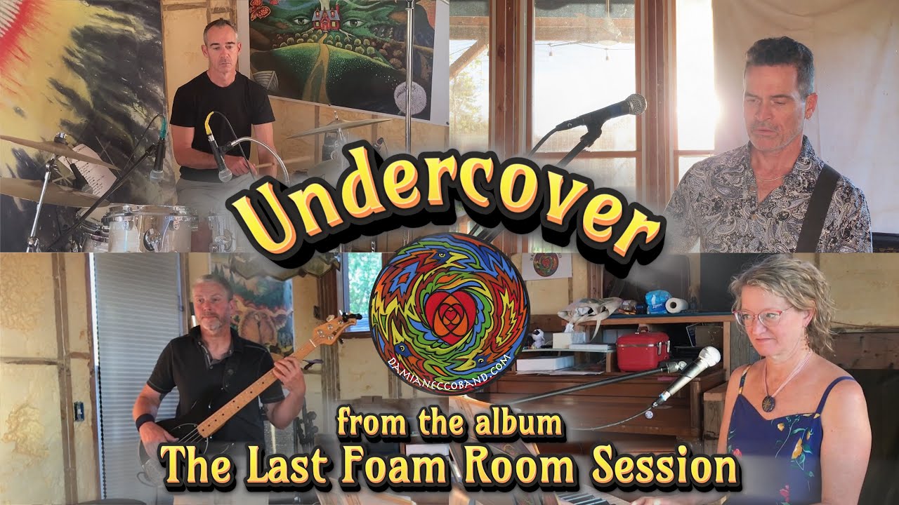 Undercover by Damian Ecco Band