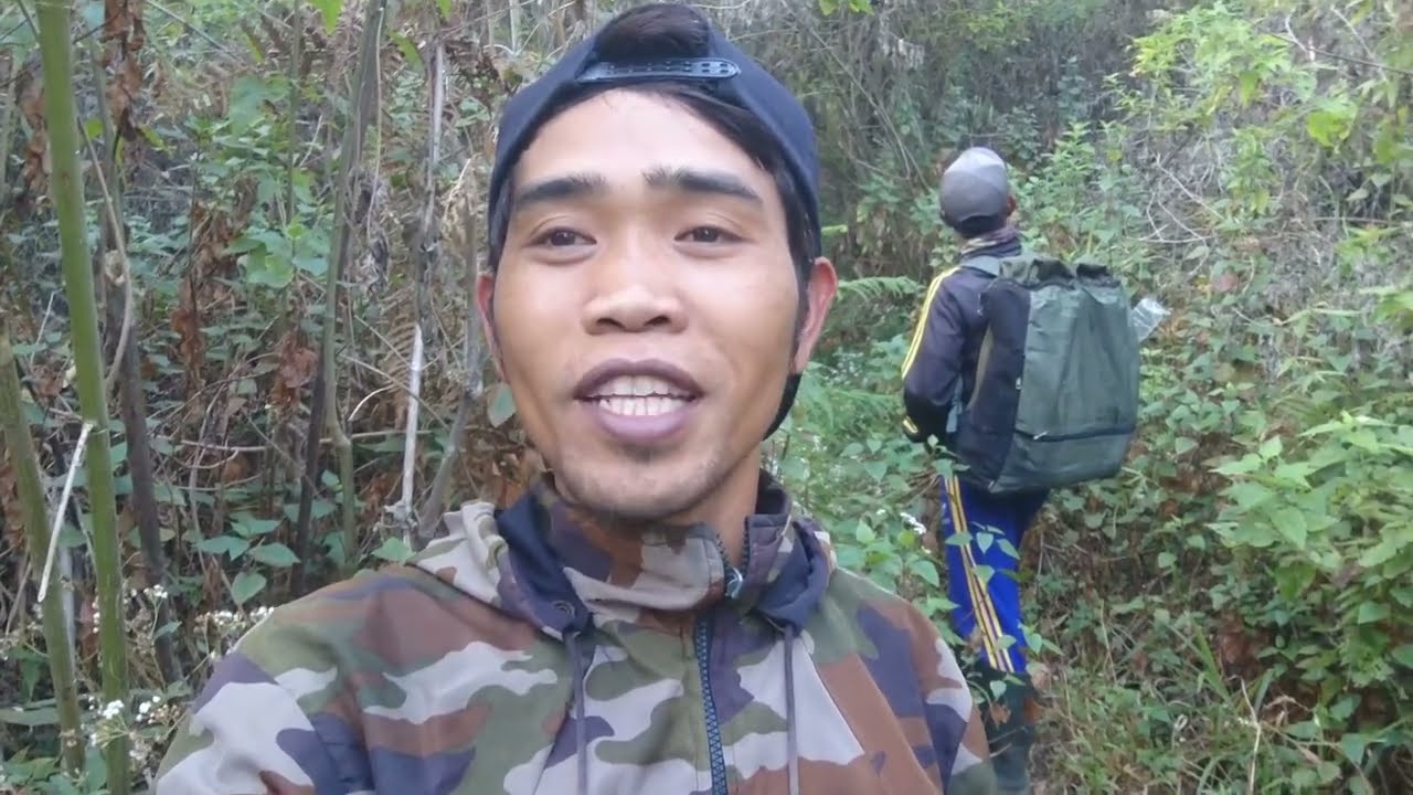 Mikat Burung Jongkangan Coklat & Beragam Jenis Lainnya | Beberapa Dilepaskan Kembali ke Alam