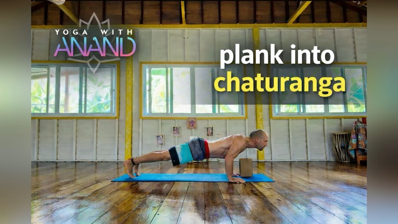 Plank pose into Chaturanga Dandasana