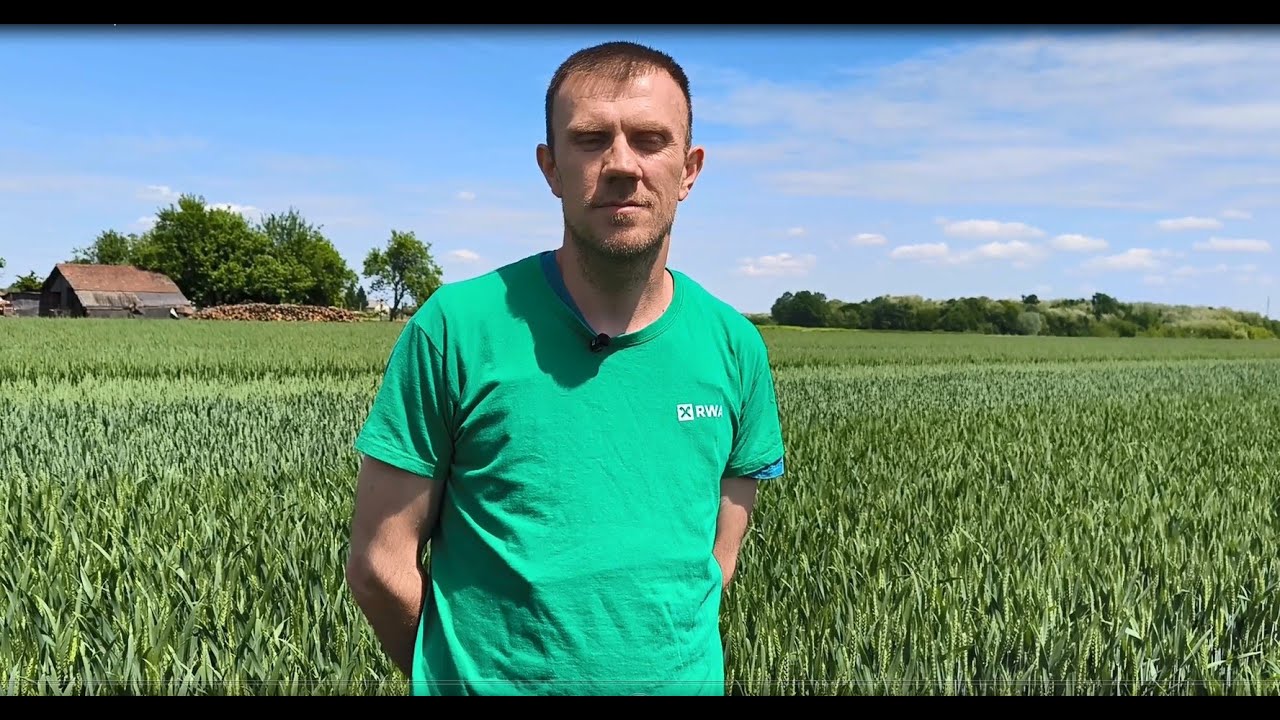 Matija Jagatić  - iskustvo s RWA sortama pšenice