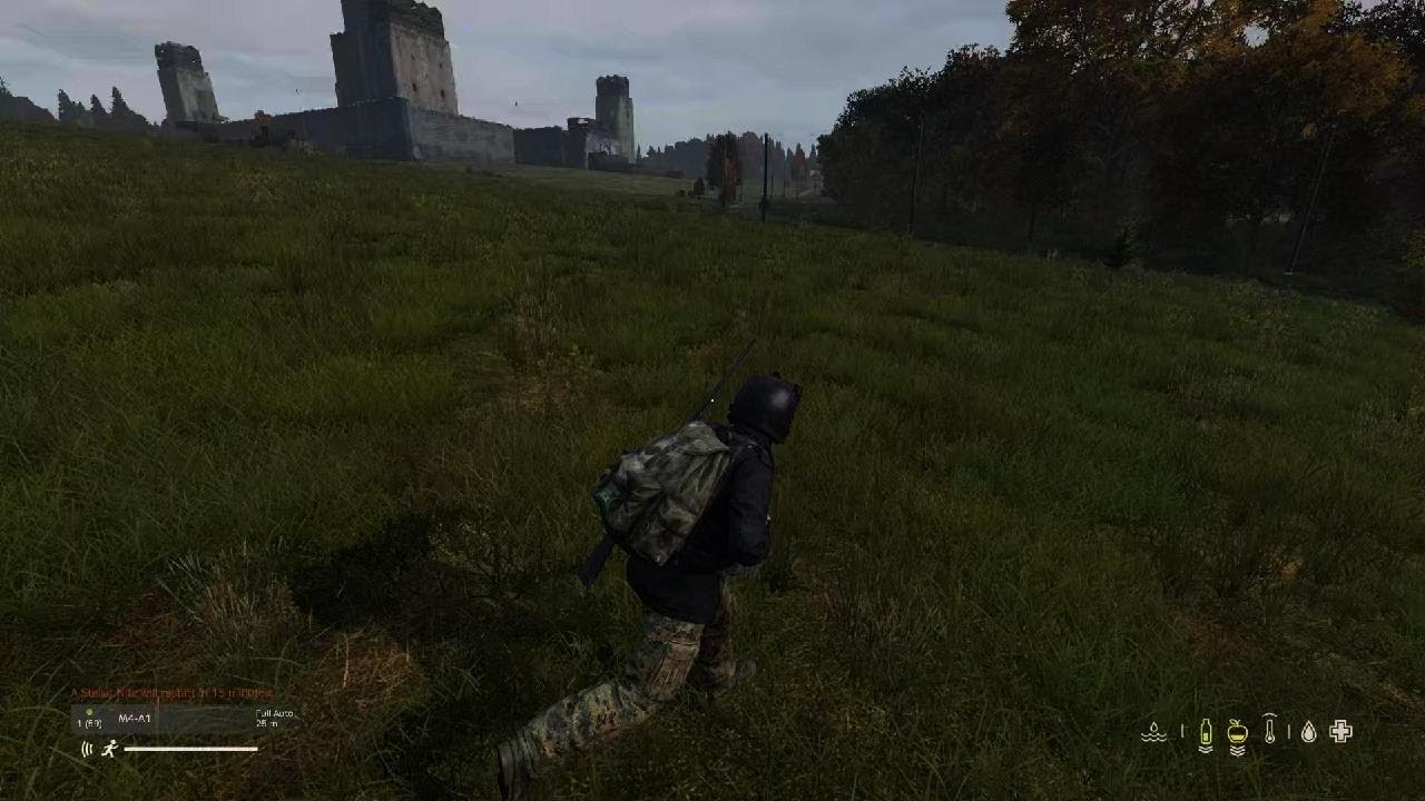 DayZ Killing base campers