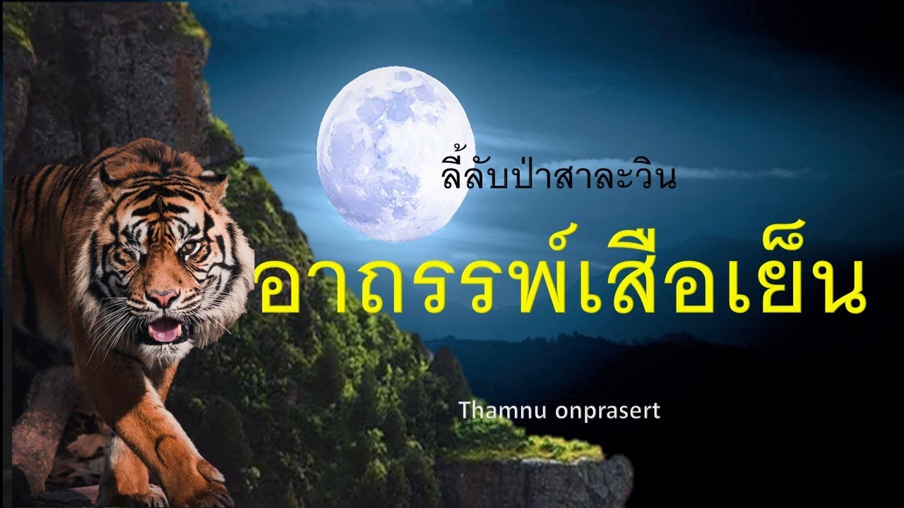 ๑๒๙.อาถรรพ์เสือเย็น ลี้ลับป่าสาละวิน