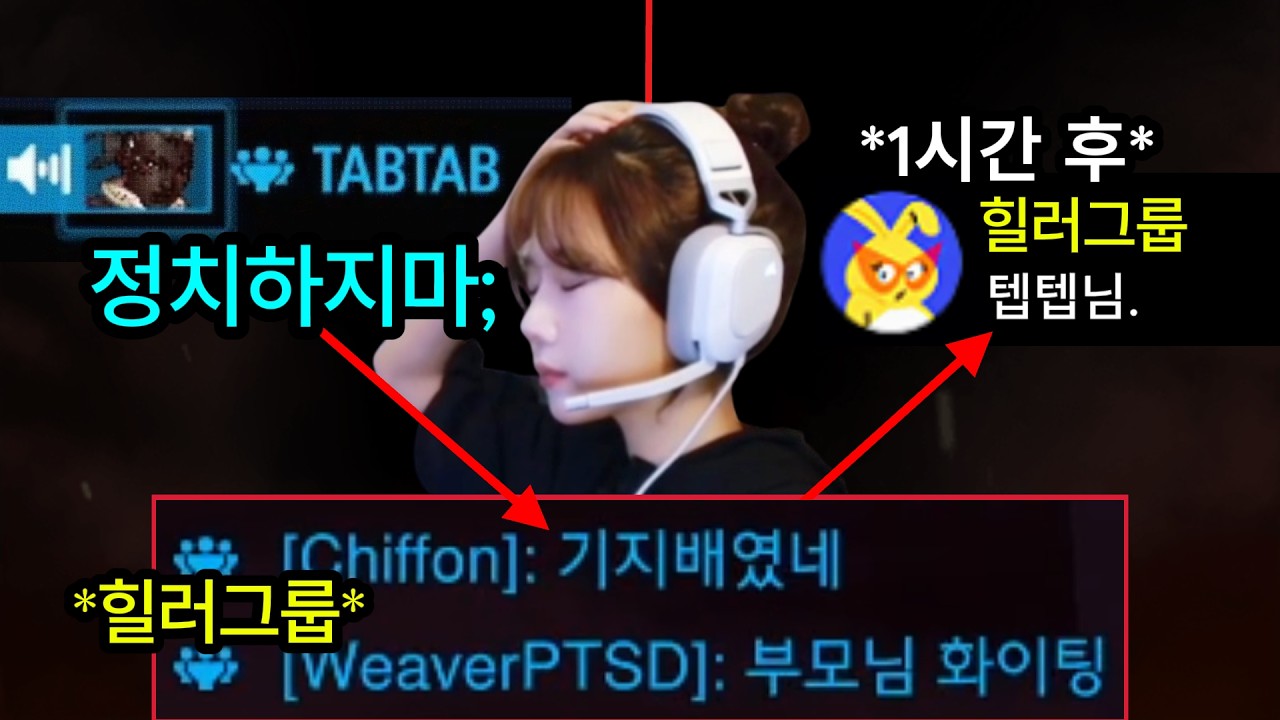 '탱커 편' 들었다고 패드립한 힐러가 저를 찾아왔습니다.