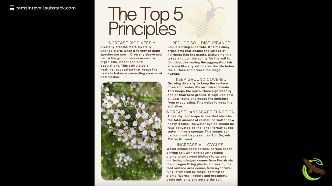 What are the Multi Species Farming (MSF) Principles?