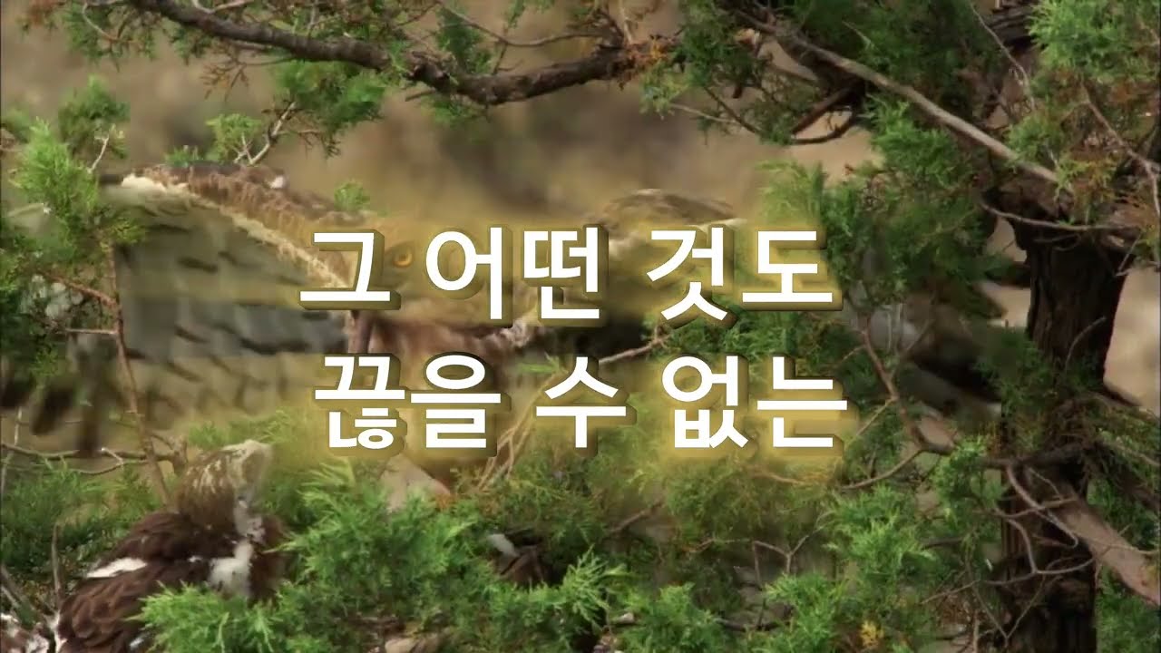 그 어떤 것도 끊을 수 없는